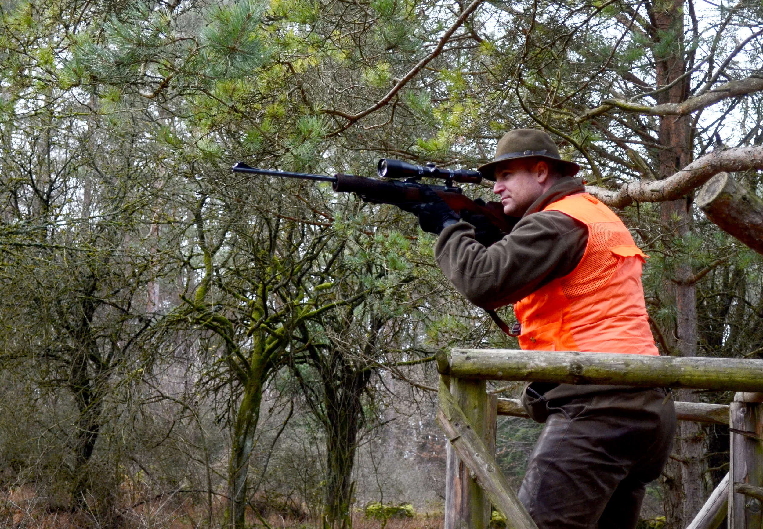 File Us Hunter On A Driven Hunt In Germany Wikimedia Commons