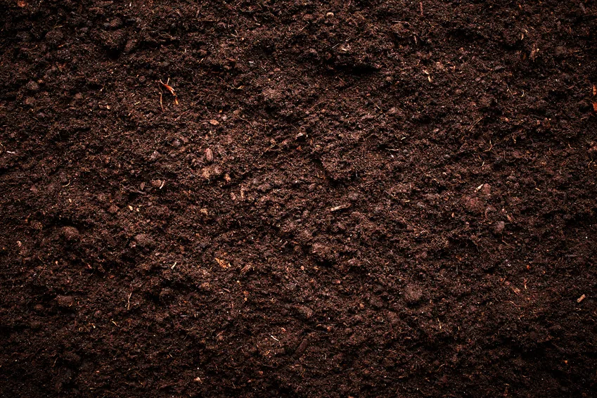 Fill Dirt Vs Topsoil What S The Difference Southern Landscaping Materials