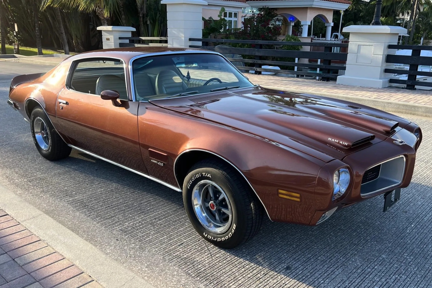 Firebird 455