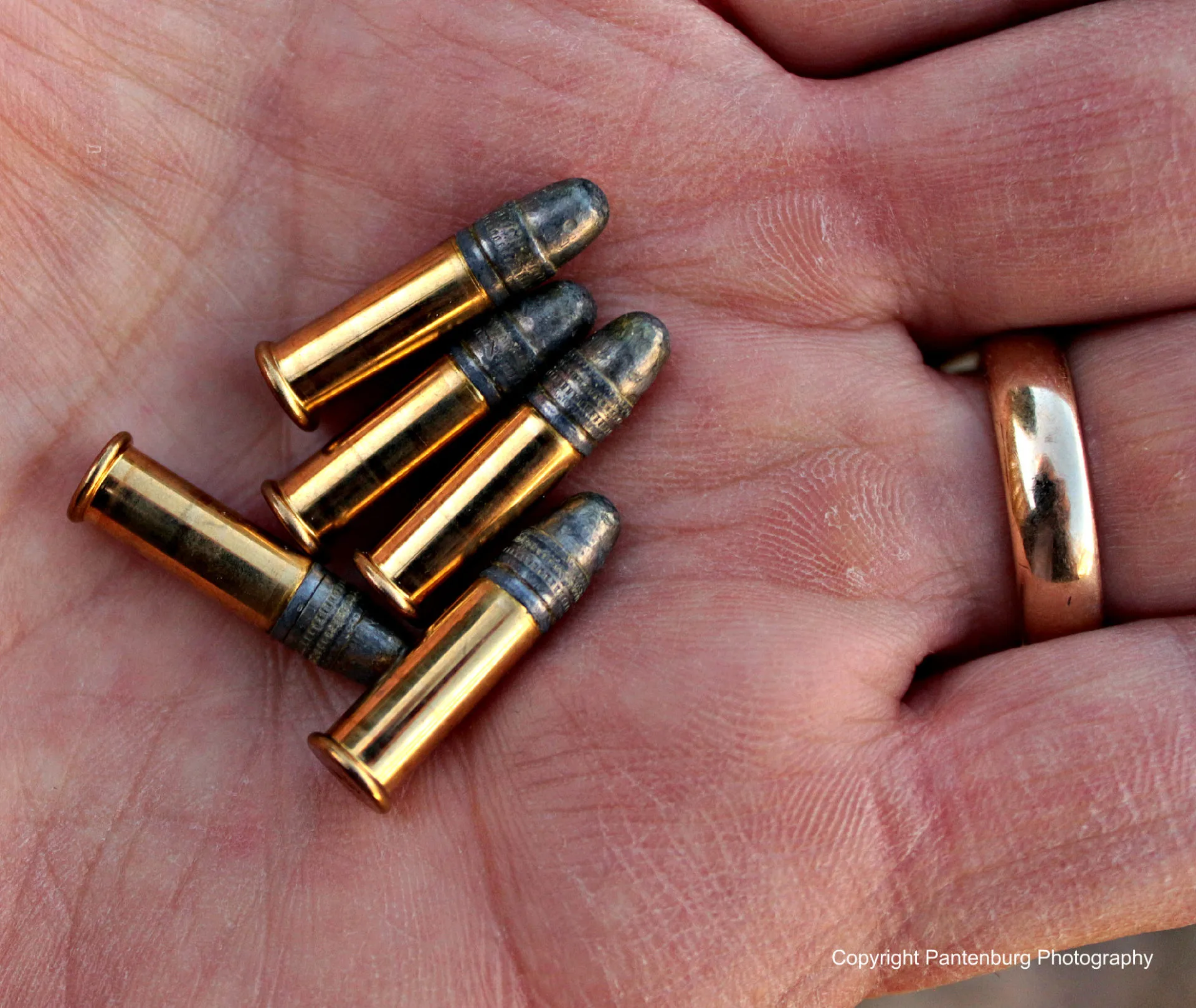 Five Good Reasons To Own A 22 Rifle Survival Common Sense Blog Emergency Preparedness