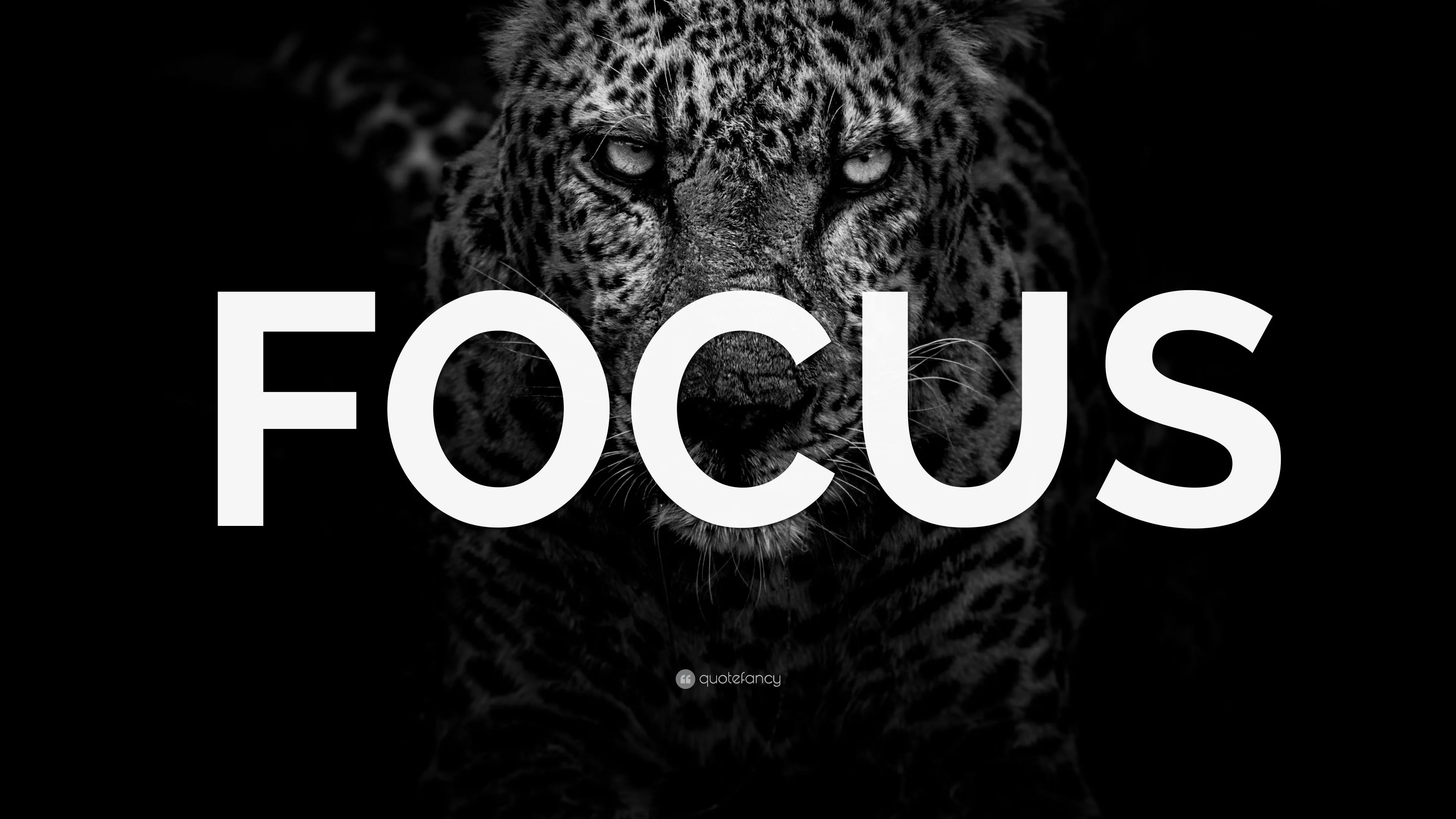 Focus Motivation Wallpapers Top Free Focus Motivation Backgrounds Wallpaperaccess