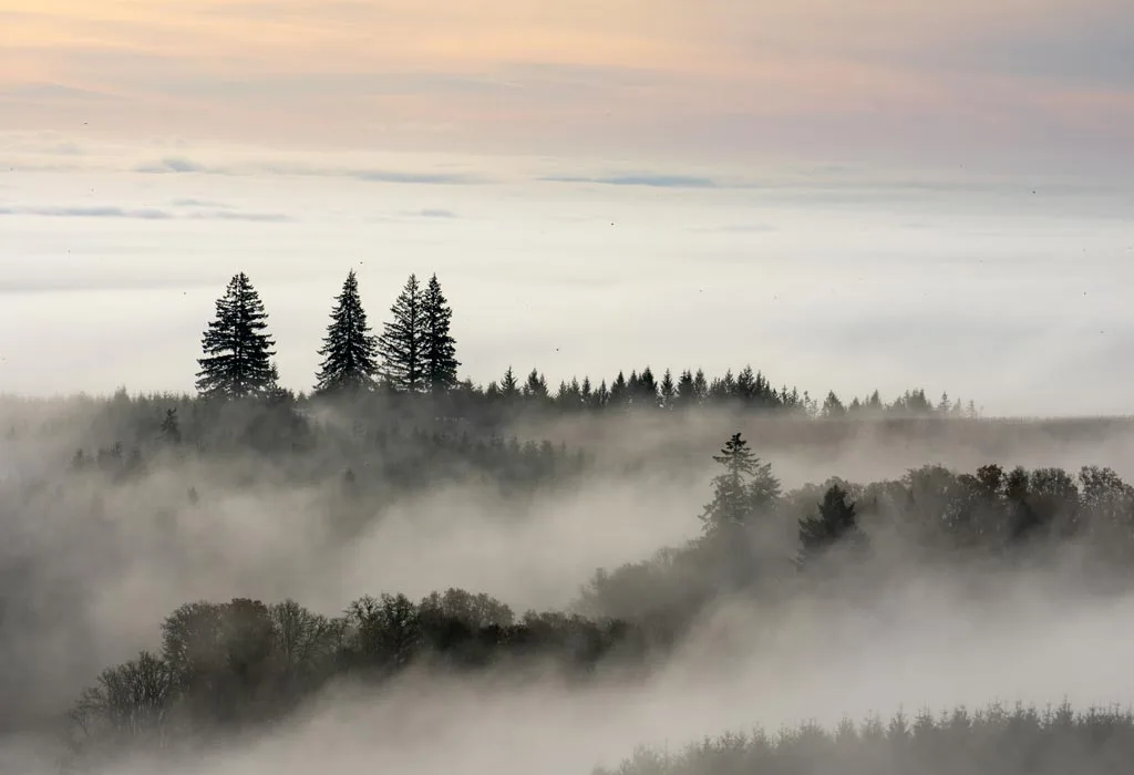 Fog 101 Presidential Aviation
