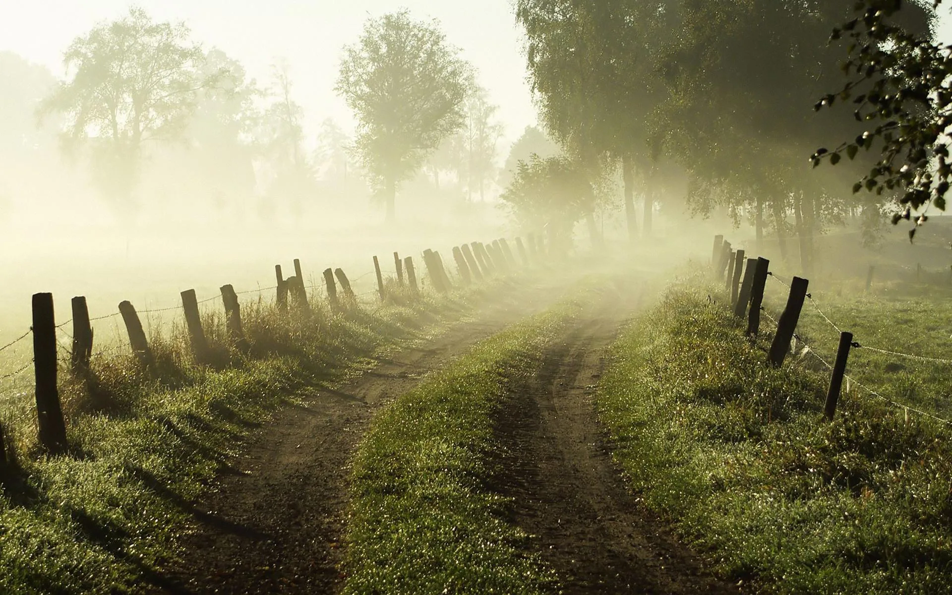 Fog Wallpapers Hd Wallpapersafari