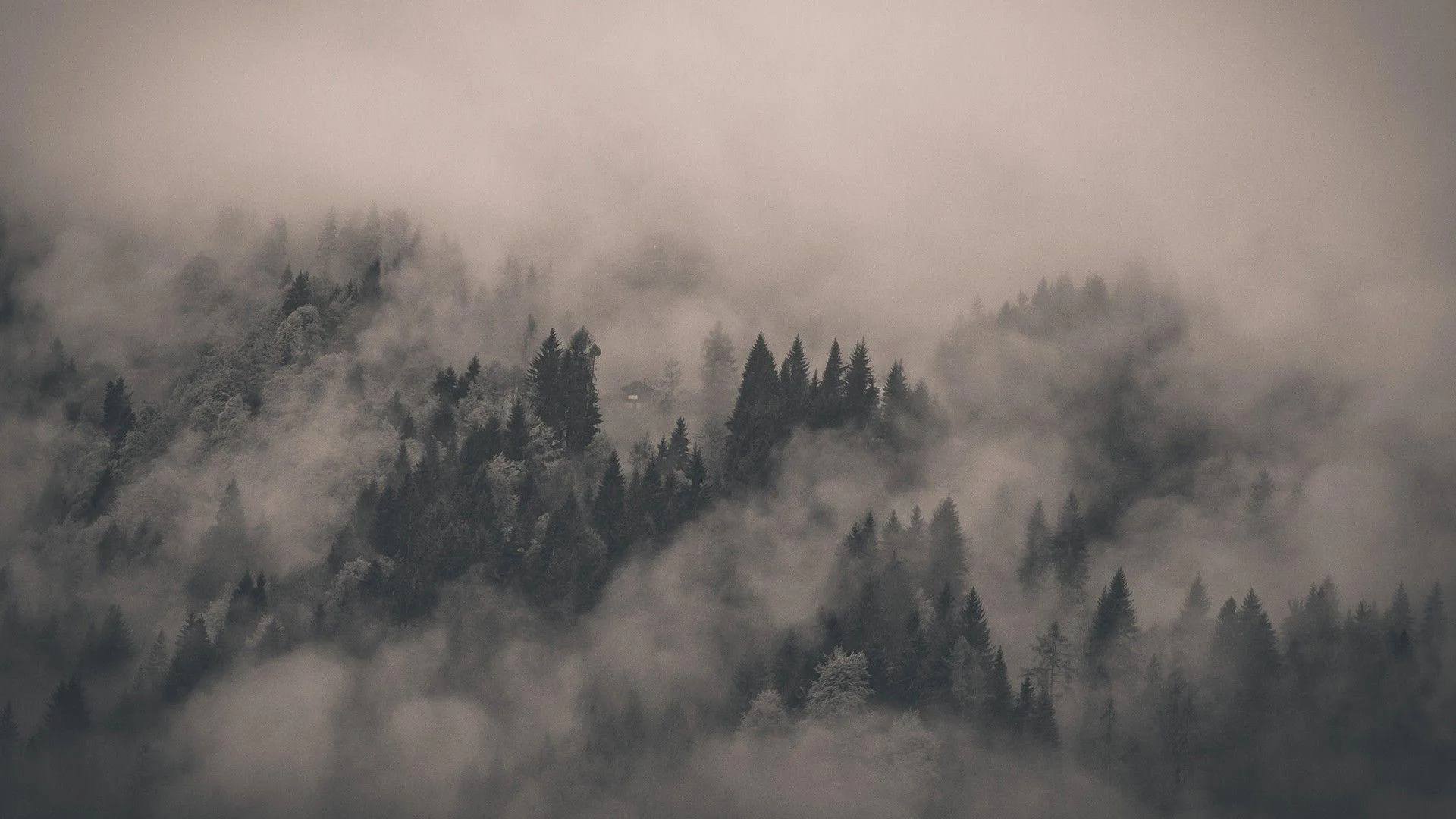 Fog Wallpapers Top Free Fog Backgrounds Wallpaperaccess