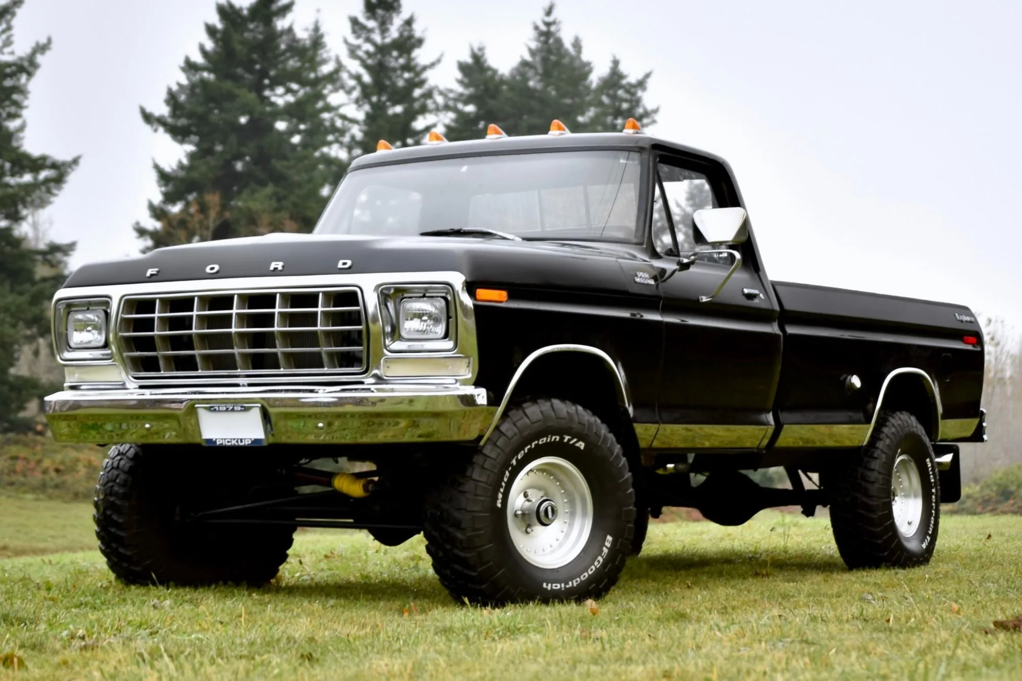 Ford 1979 F150 Parts
