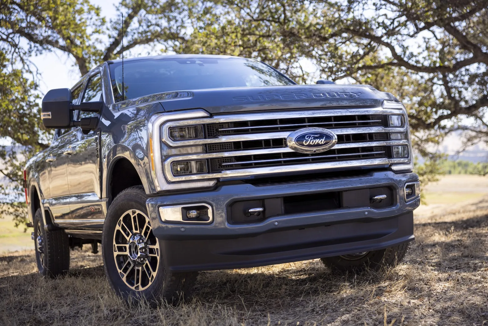 Ford 2024 Super Duty Build Beryl Leodora