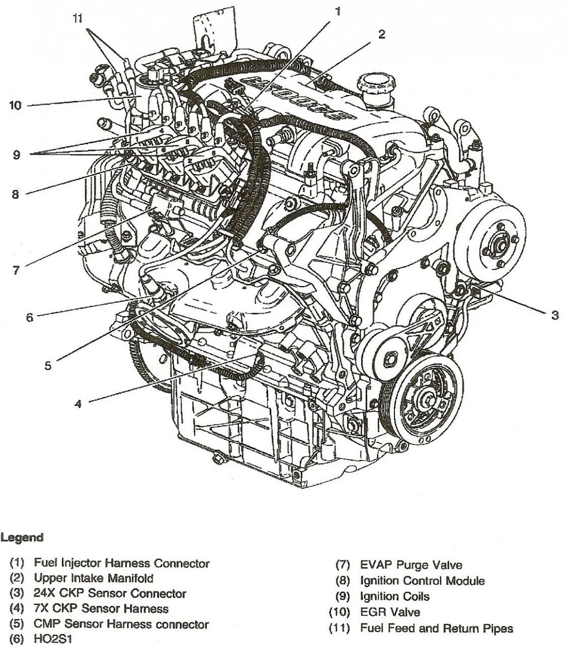 Ford 46 Fan Belt Diagram