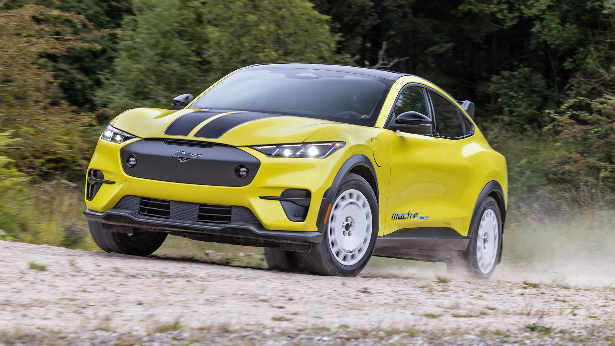 Ford Mach E Mustang Colors 2025 Levi Jibril
