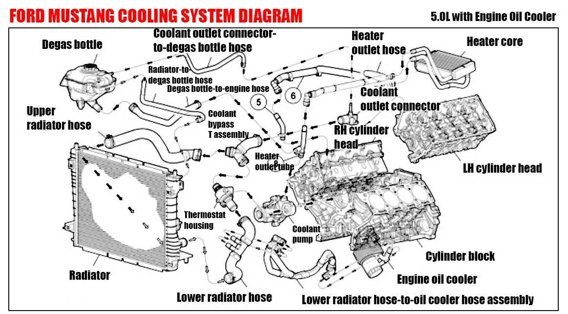 Ford Mustang Cooling System Diagram Car Construction