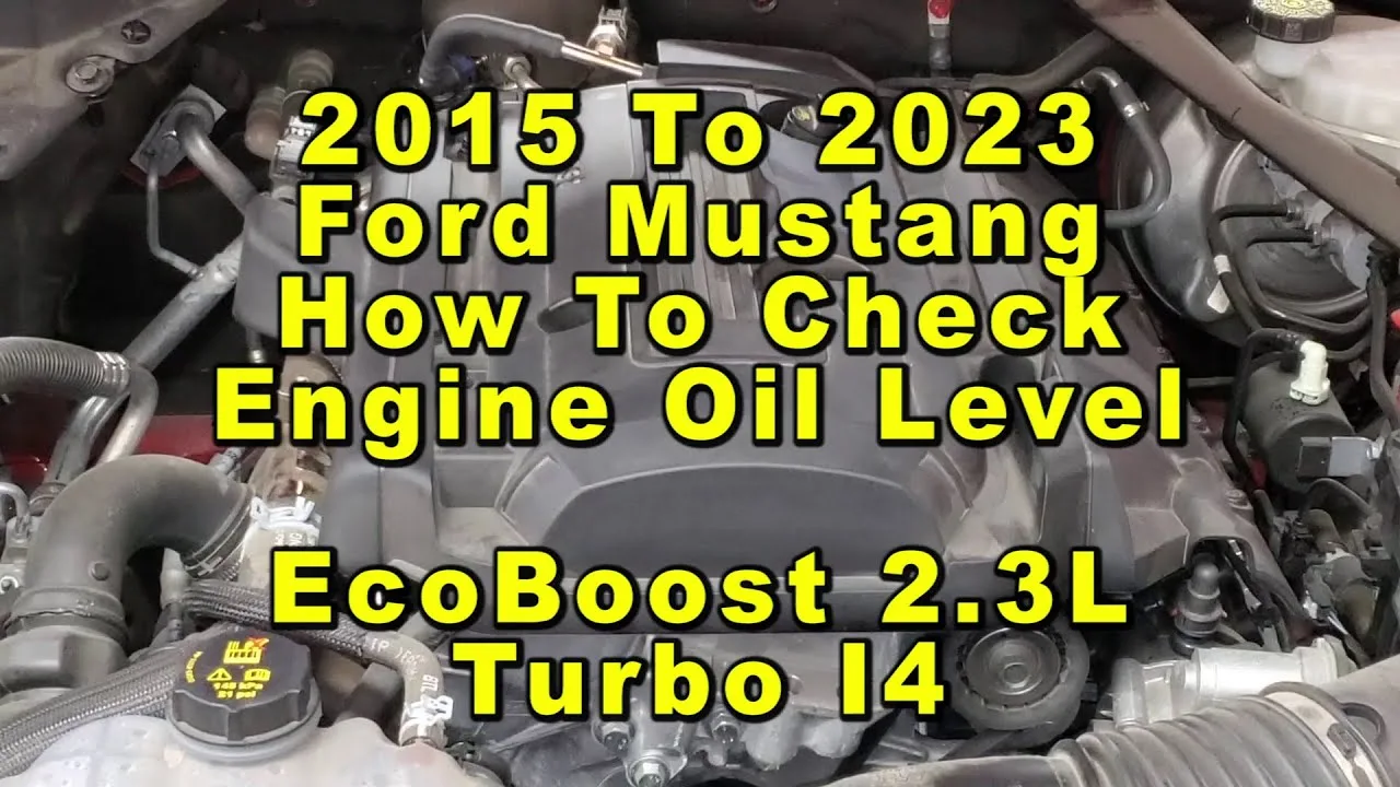 Ford Mustang How To Check Engine Oil Level Ecoboost 23L Turbo I4 2015 To 2023 6Th Generation