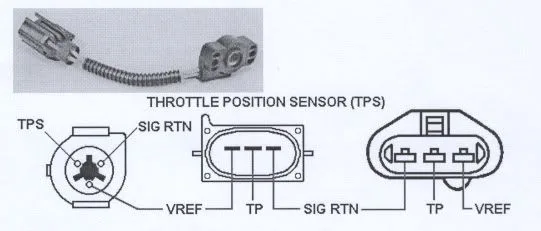 Ford Tps Wiring Diagram Ford America Ford Anglia Ford