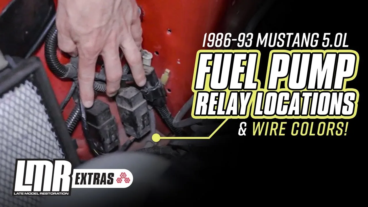 Fox Body Fuel Pump Relay Wiring Diagram At Melva Abbott Blog