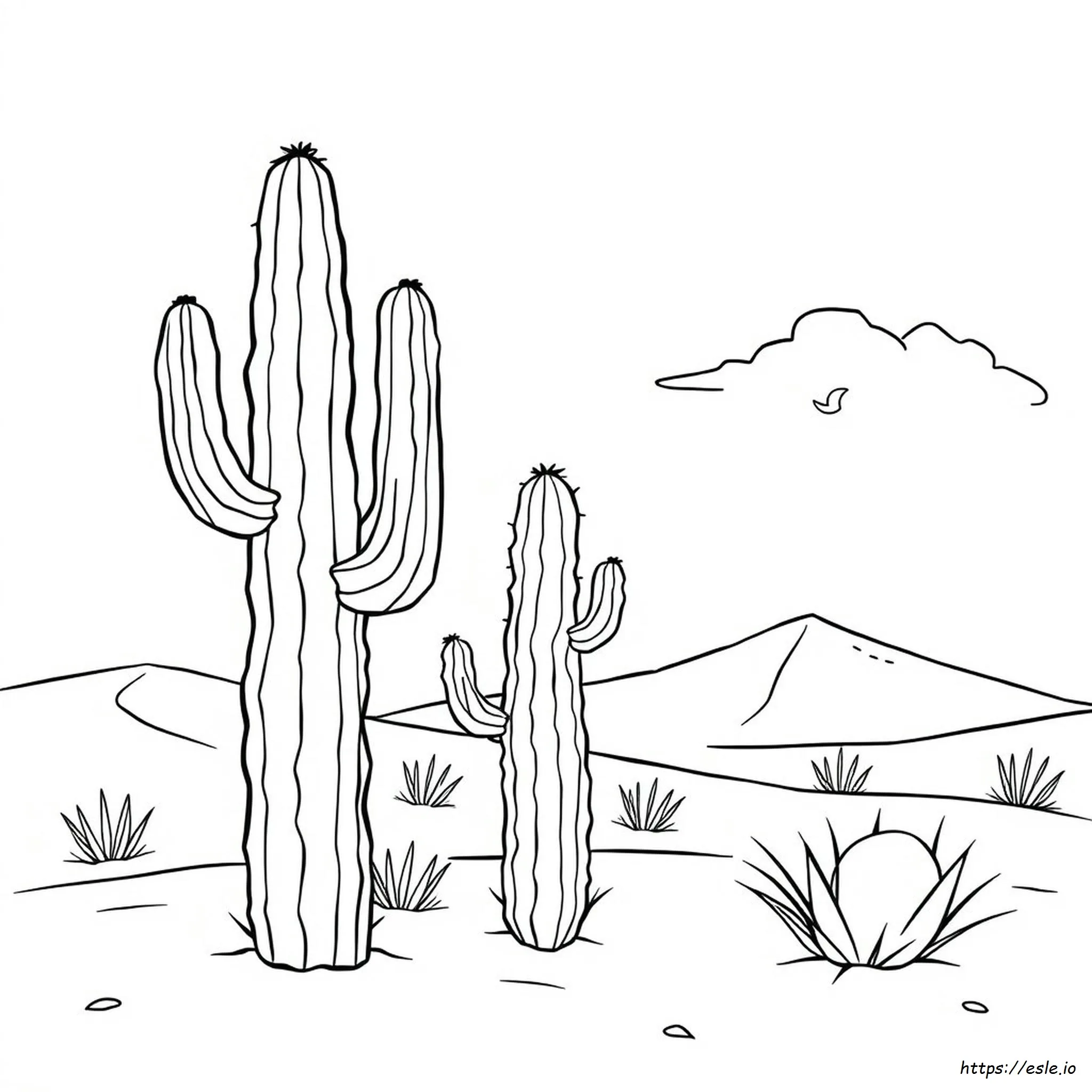 Free Cactus Coloring Pages