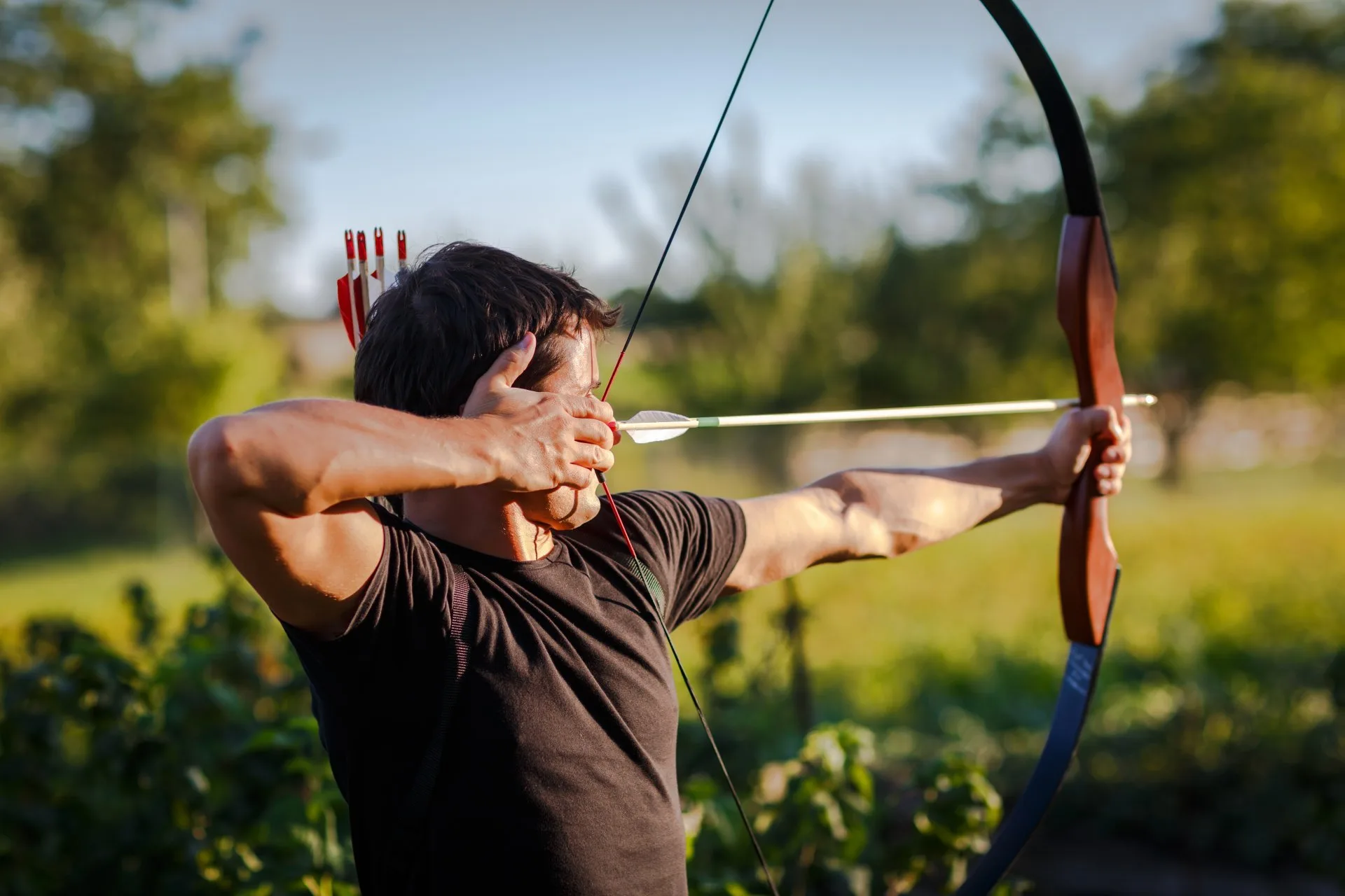 Free Download Archery Background