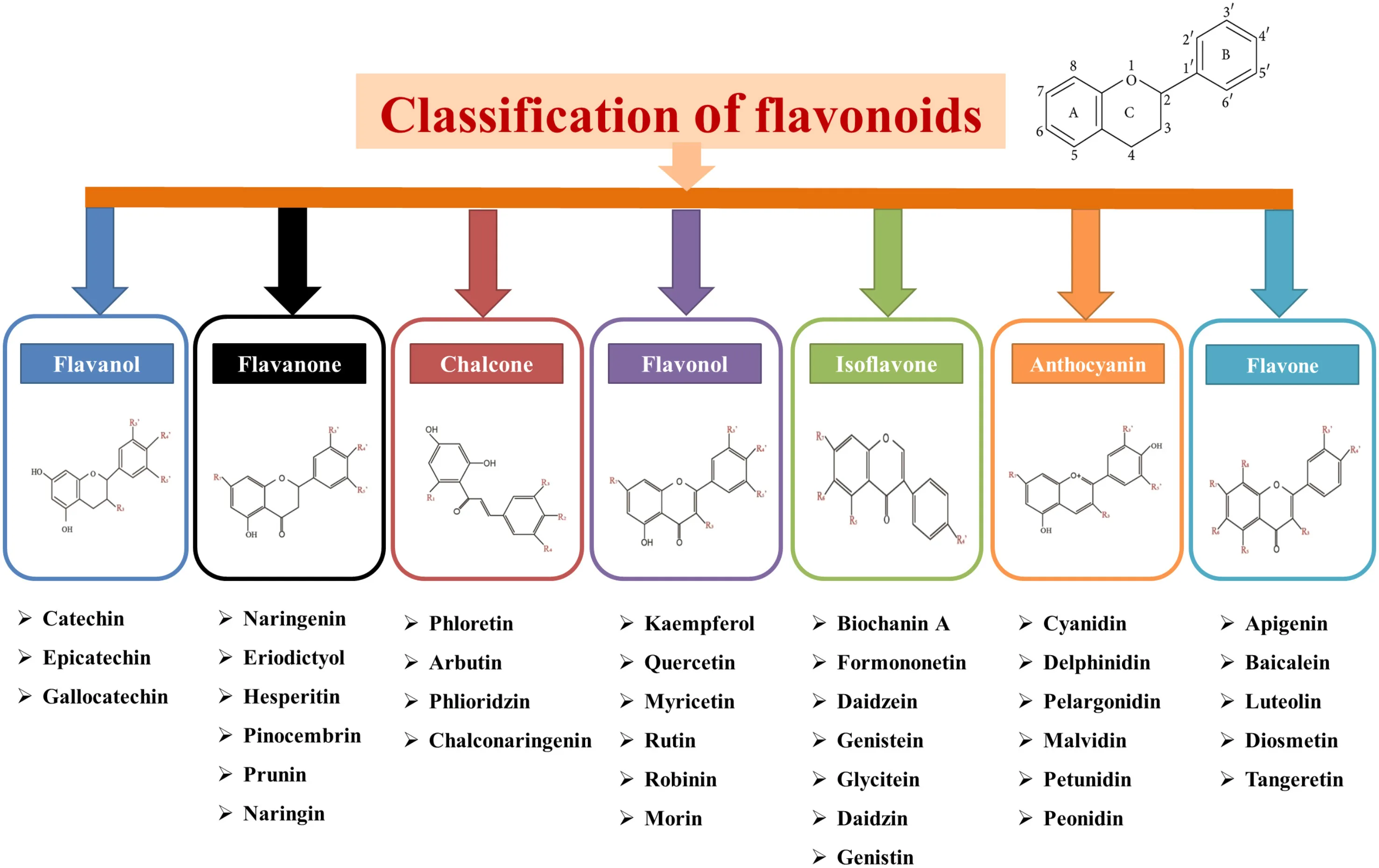 Frontiers Recent Advancements In Multifaceted Roles Of Flavonoids In Plant Rhizomicrobiome