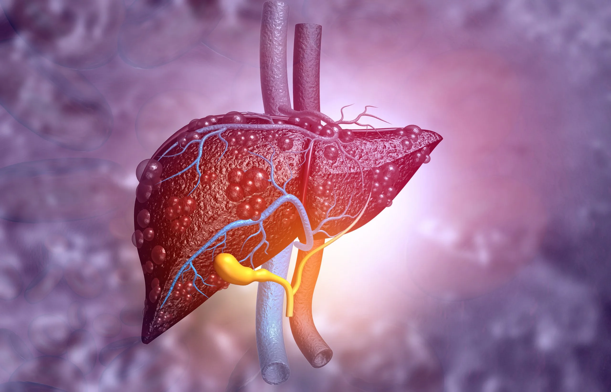 Functional Humanized Liver In Mice Boosts Liver Research