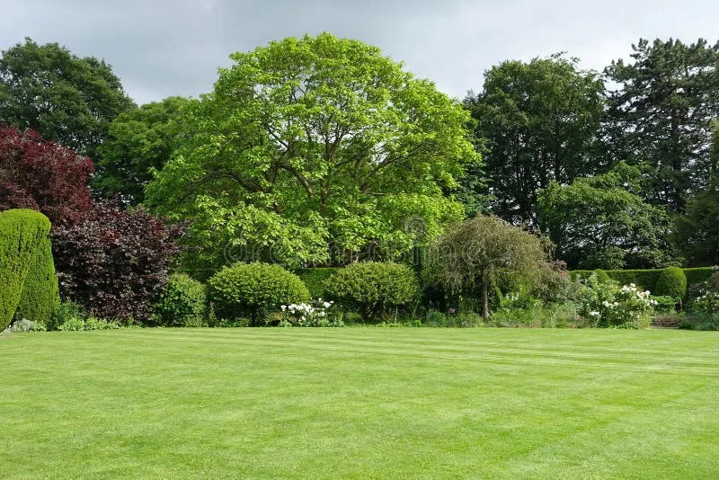 Garden Lawn Stock Image Image Of Foliage Green Architecture 16002425