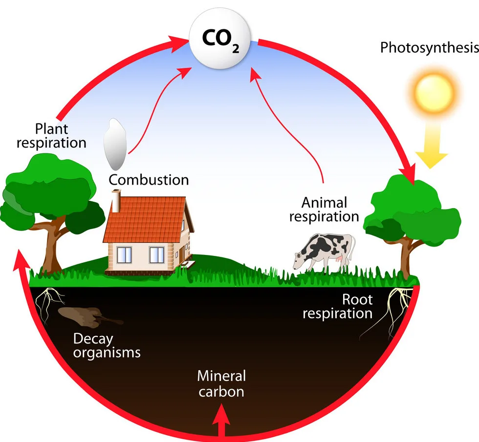 Geologic Carbon Cycle And Climate