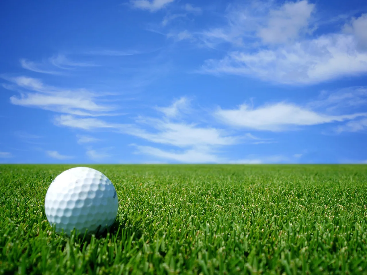 Golf Theme Wallpaper Wallpapersafari