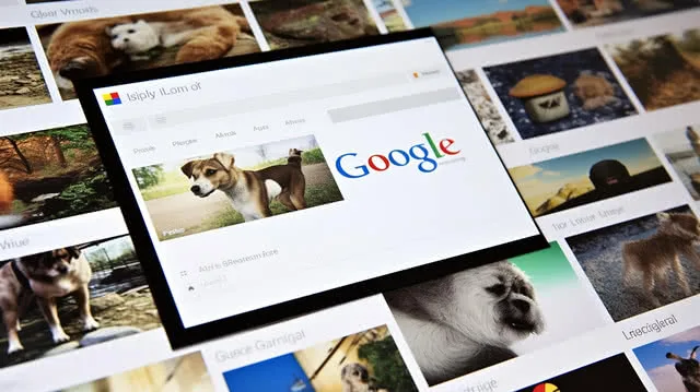 Google Imagnes Background Images Hd Pictures And Wallpaper For Free Download Pngtree