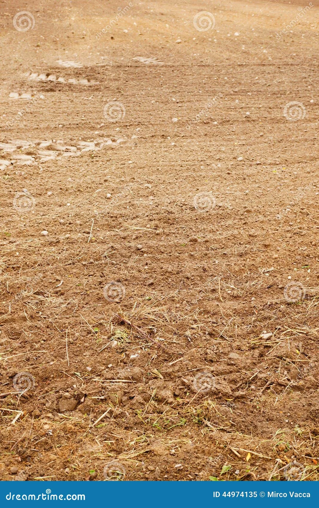 Ground Field Stock Image Image Of Field Ground Outdoor 44974135