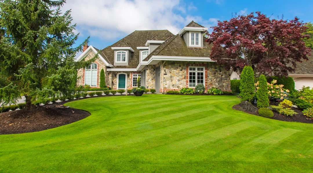 Groundscapes Llc Landscaping Lawn Maintenance Holiday Light In Rochester Ny