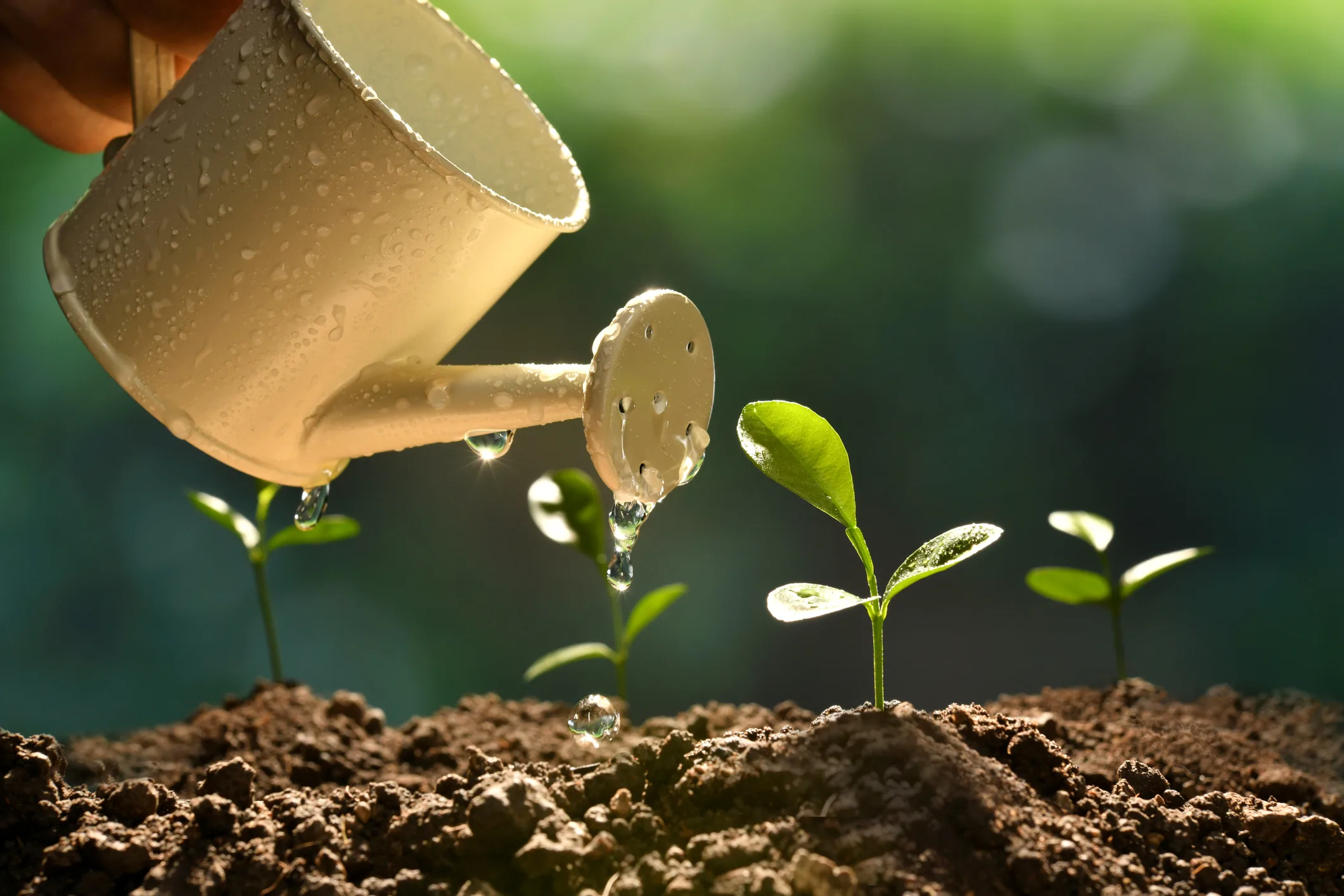 Growing Plants