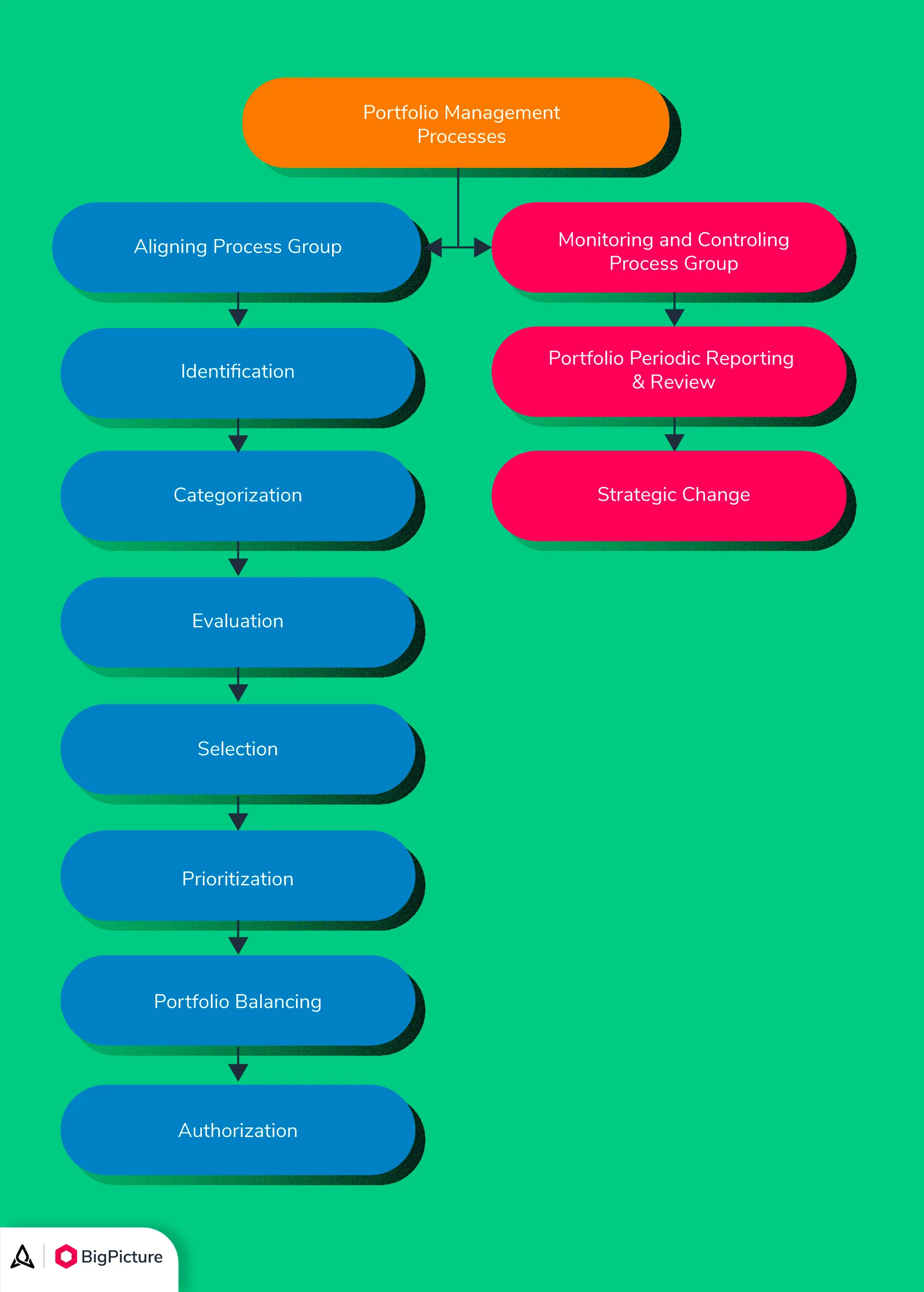 Guide To Project Portfolio Management Processes Bigpicture