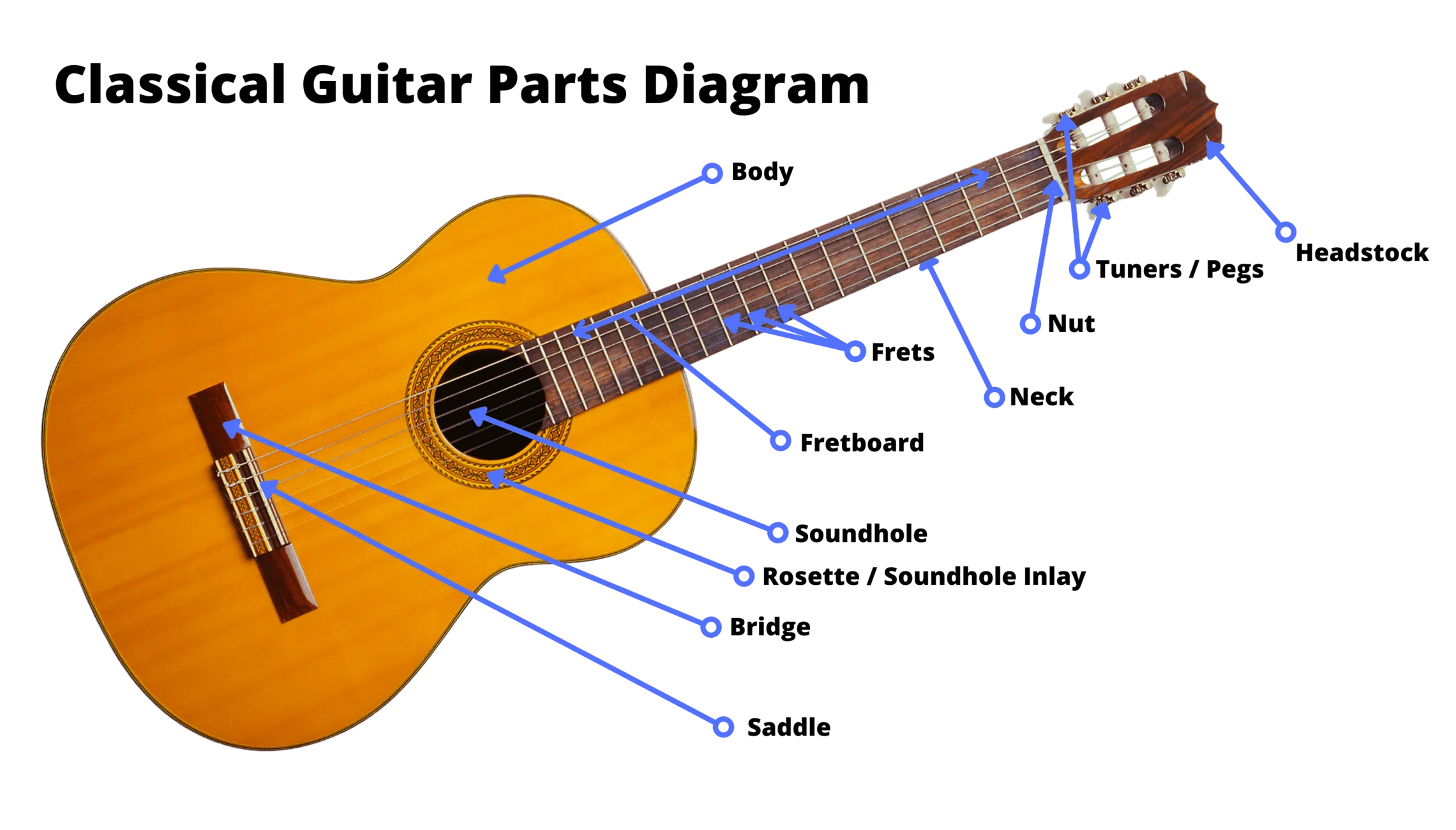 Guitar Parts Names Know The Parts Of Electric Guitar 40 Off