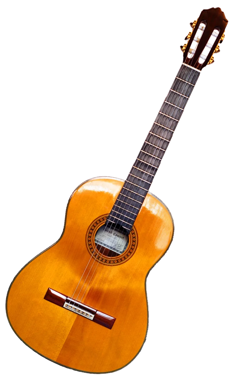 Guitar Wikipedia