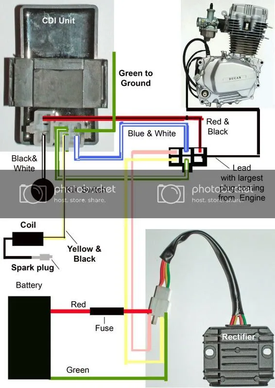 Hammerhead Go Kart Engine Diagram Hammerhead 150Cc Go Ka