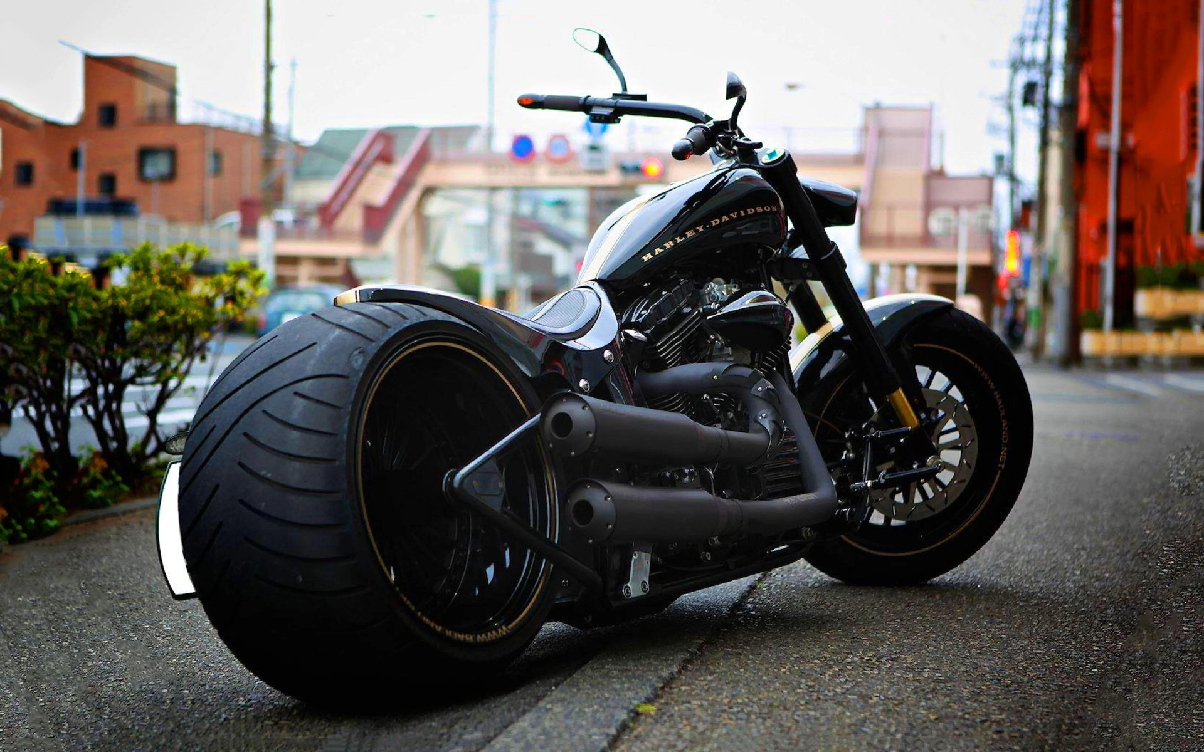 Harley Davidson Motorcycle Wallpapers Top Free Harley Davidson Motorcycle Backgrounds