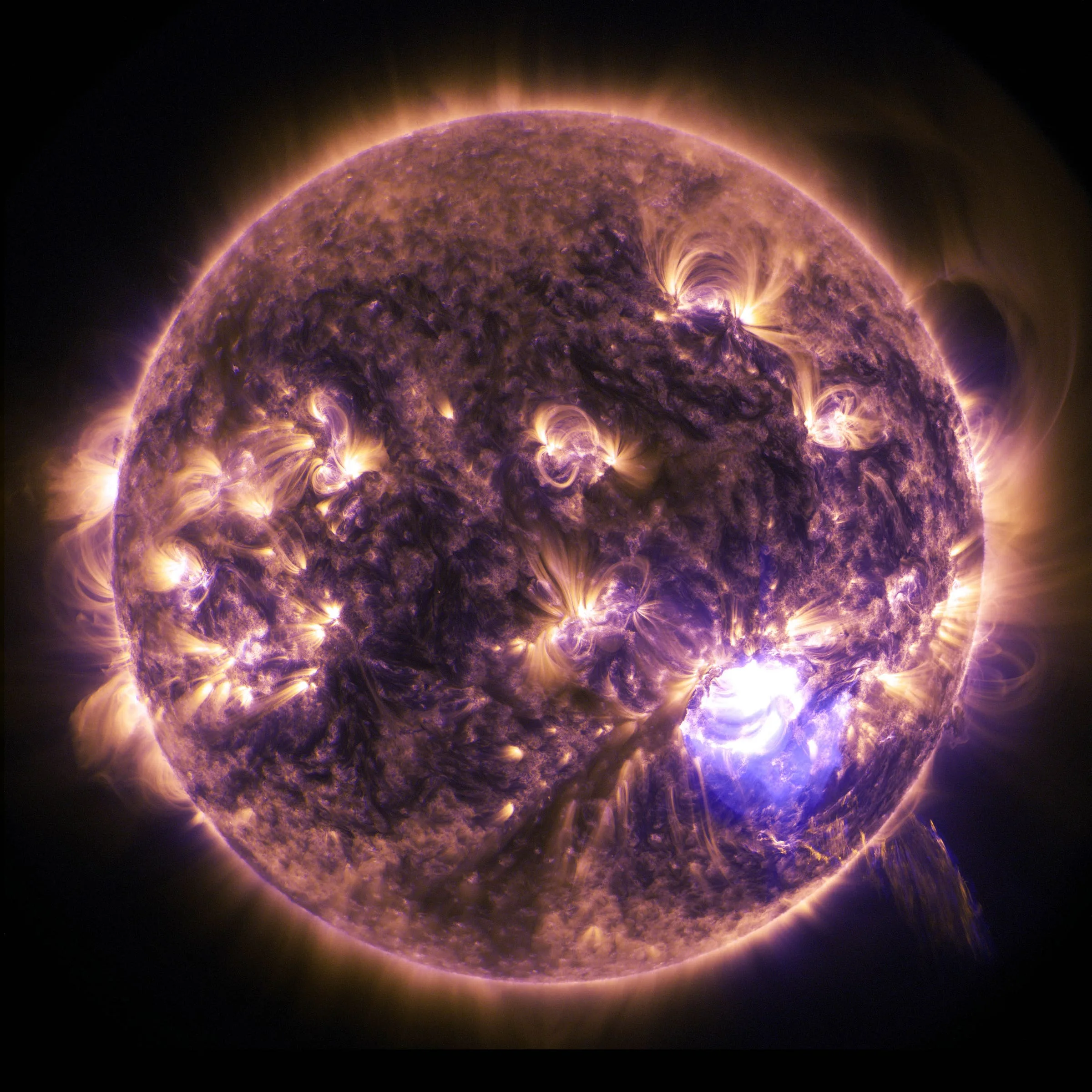 Harvard Scientists Want To Dim The Sun To Curb Global Warming Business Insider