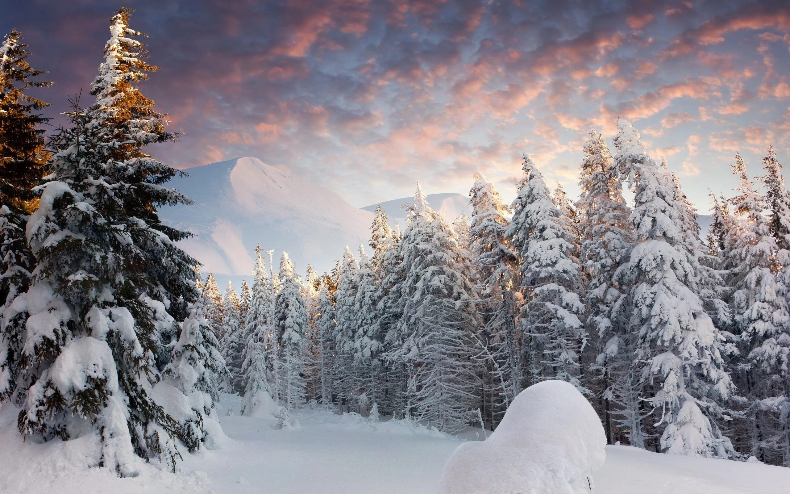 Hd Snow Wallpaper 82 Images