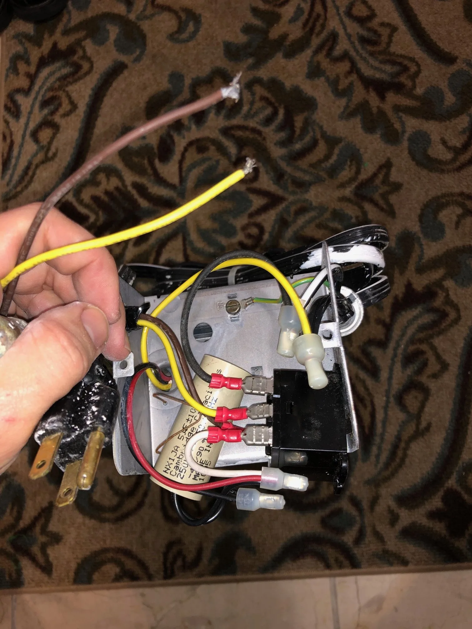 Help Wire Taco 006 Circulator Pump Plumbing Forums Professional Diy Plumbing Forum
