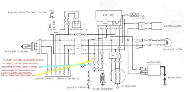Honda 400Ex Rectifier Wiring Diagram 2004 Honda 400Ex Engine
