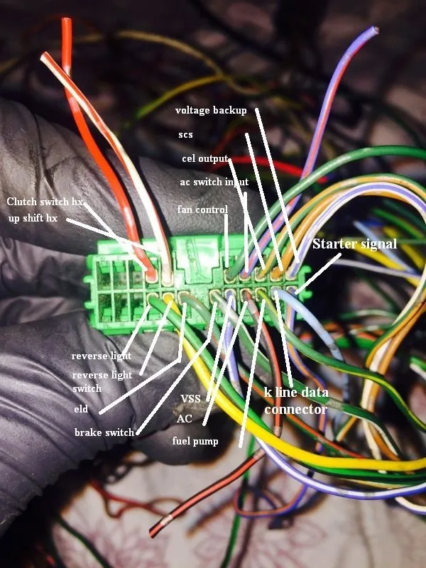 Honda Civic Haynes Wiring Harness