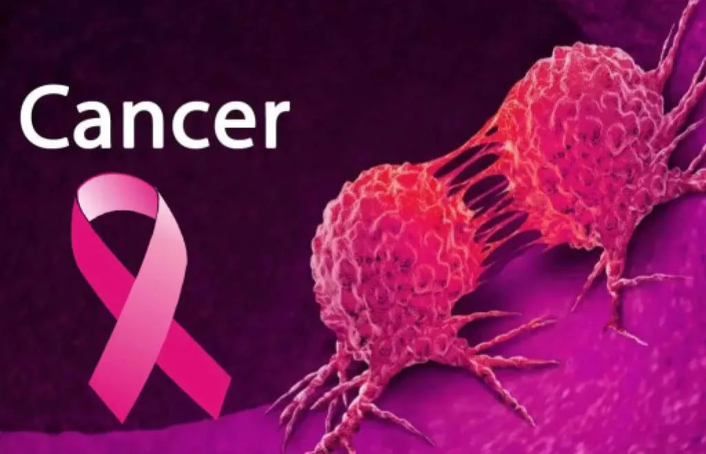Hope In Fight Against Cancer As Scientists Discover Vital Weak Spot For Tumours Daily Trust
