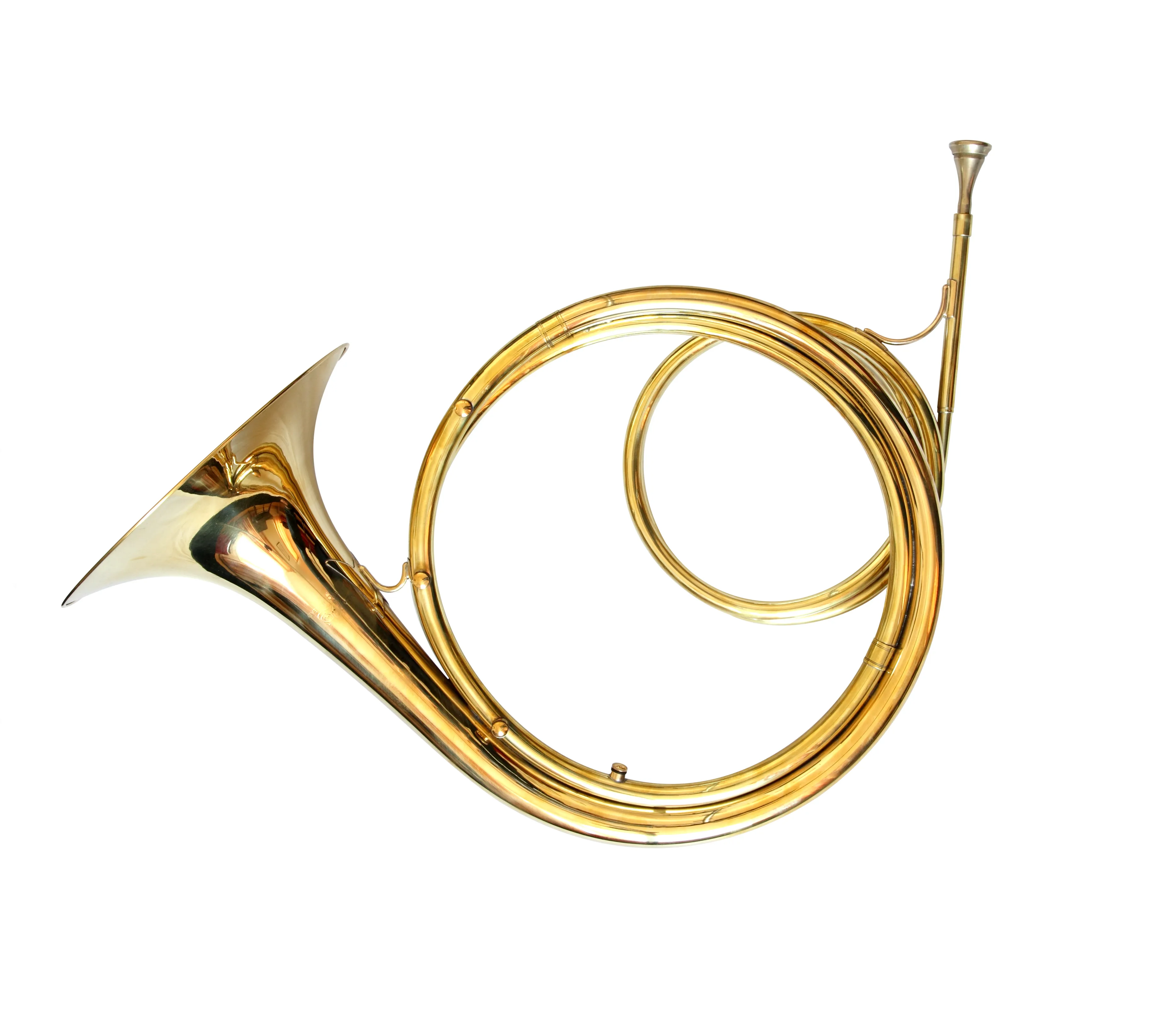 Horn Instrument Musical At Larry Cunningham Blog