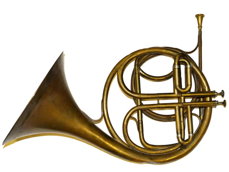 Horns The Bate Collection