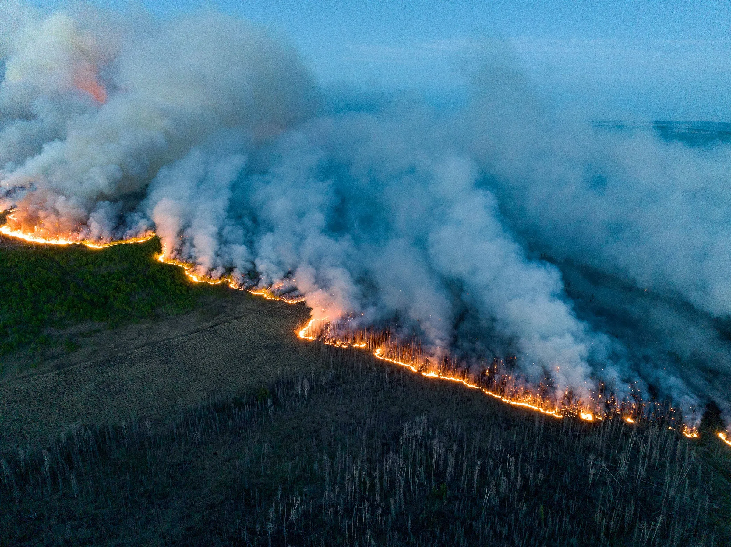 How Do Wildfires In Canada S Boreal Forest Affect Birds Across The Continent Audubon