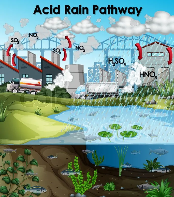 How Does Acid Rain Affect Iron Bridges At Joseph Galvan Blog