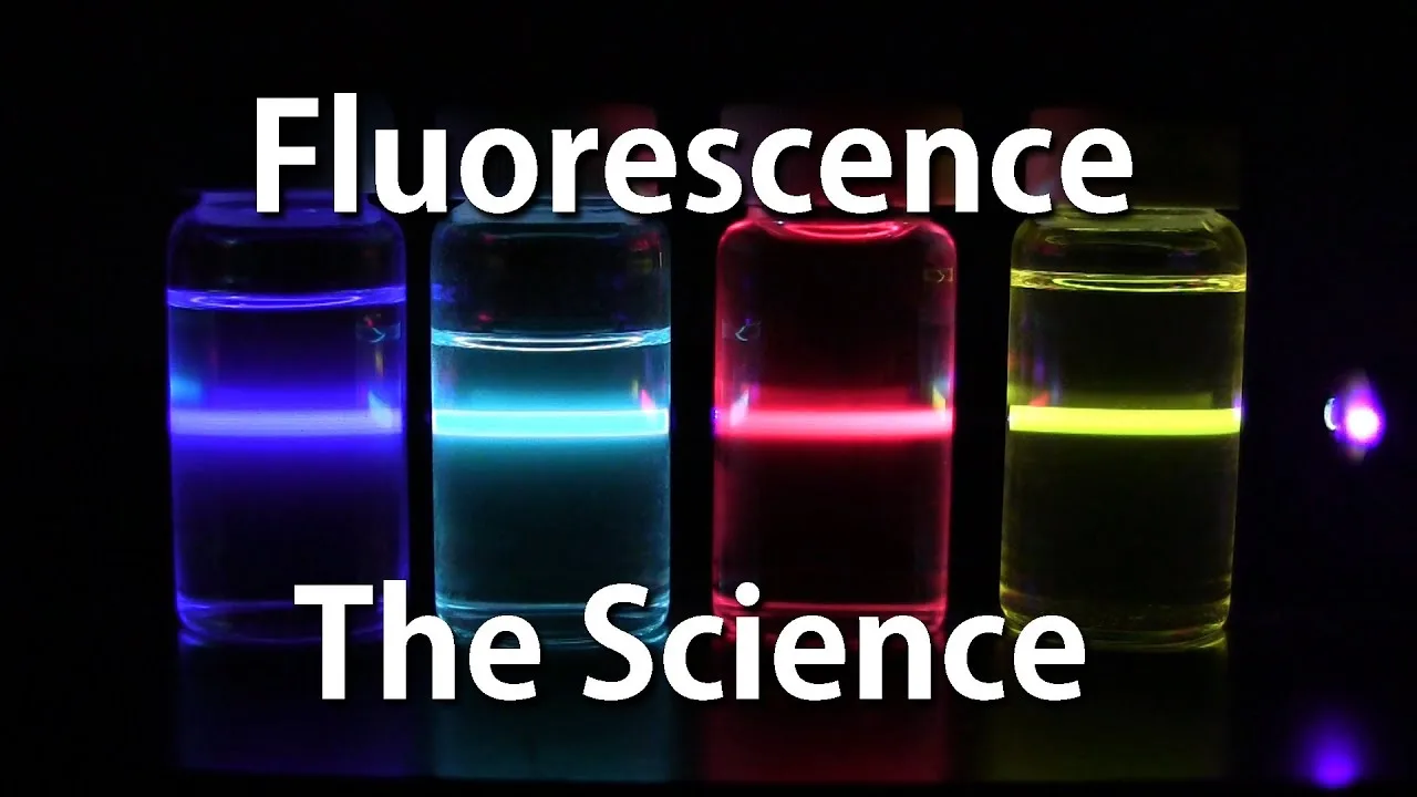 How Fluorescence Works The Science Fluorescence คือ Siêu Thị Bán Sỉ Hàng Đầu