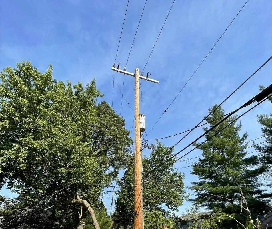How Our 1 Million Poles Work For You Empowering Michigan