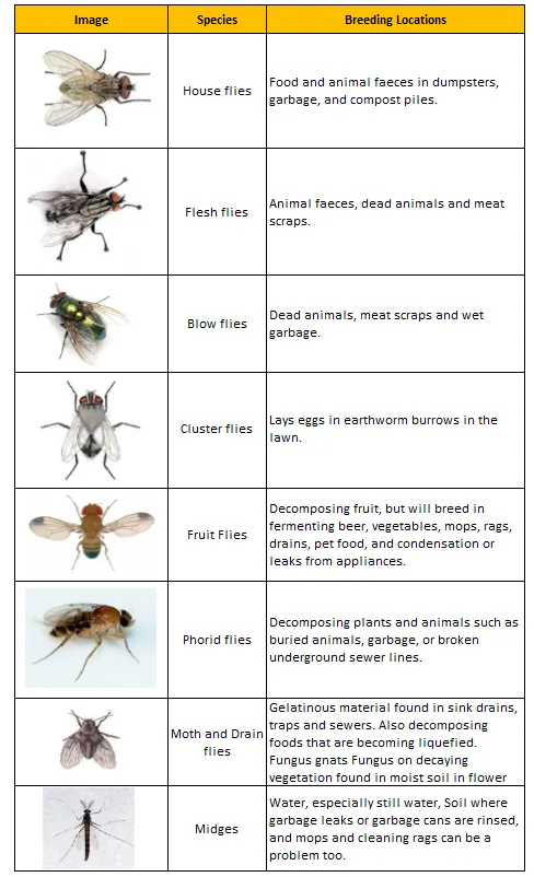 How To Get Rid Of Flies Indoors And Outdoors Fly Repellant Get Rid Of Flies Carpenter Bee Trap
