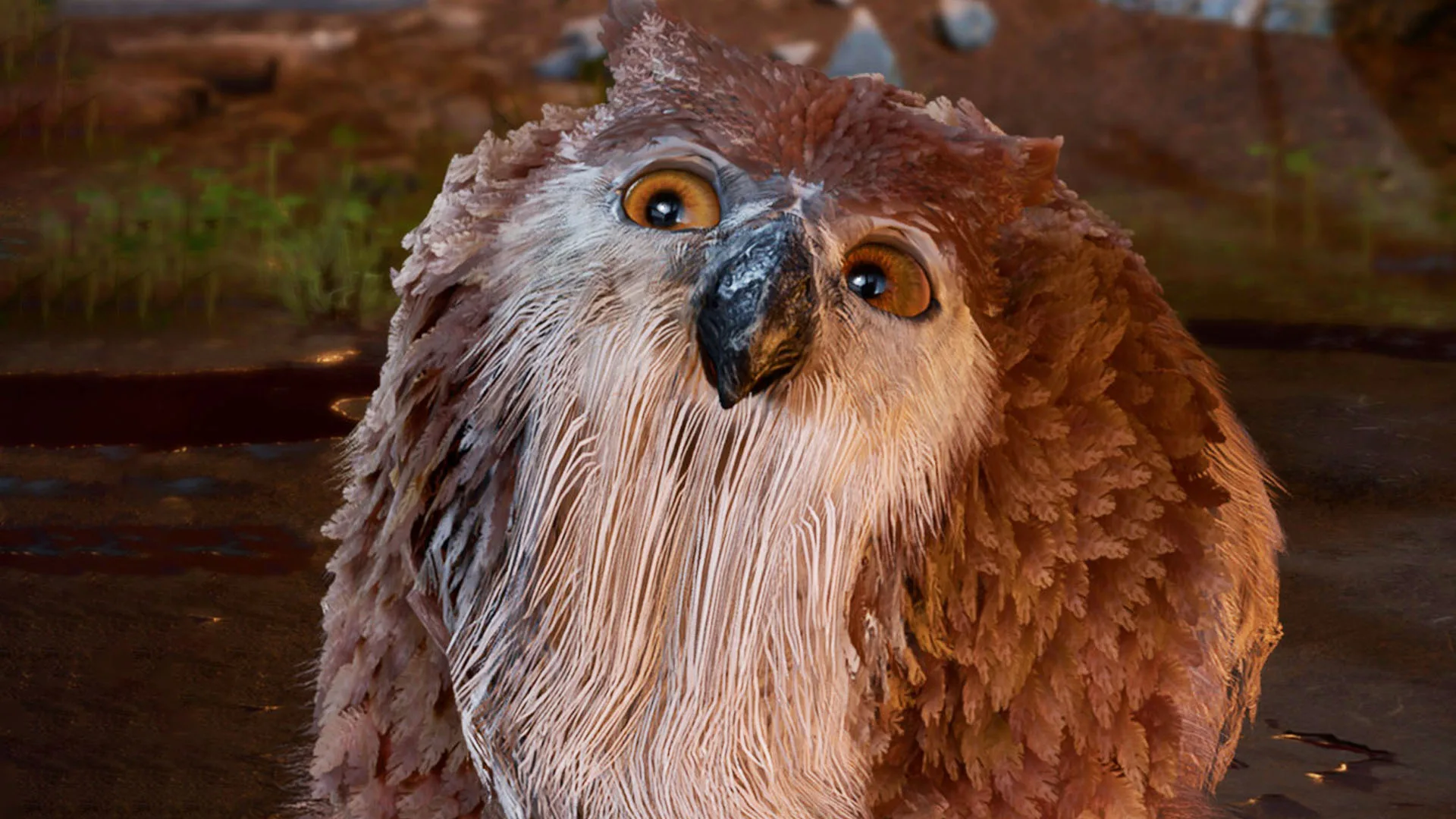 How To Get The Owlbear Cub In Baldur S Gate 3