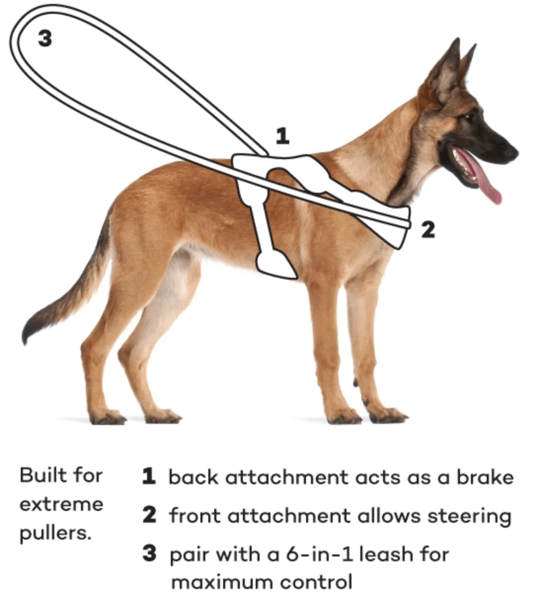 How To Put On A Dog Harness Diagram