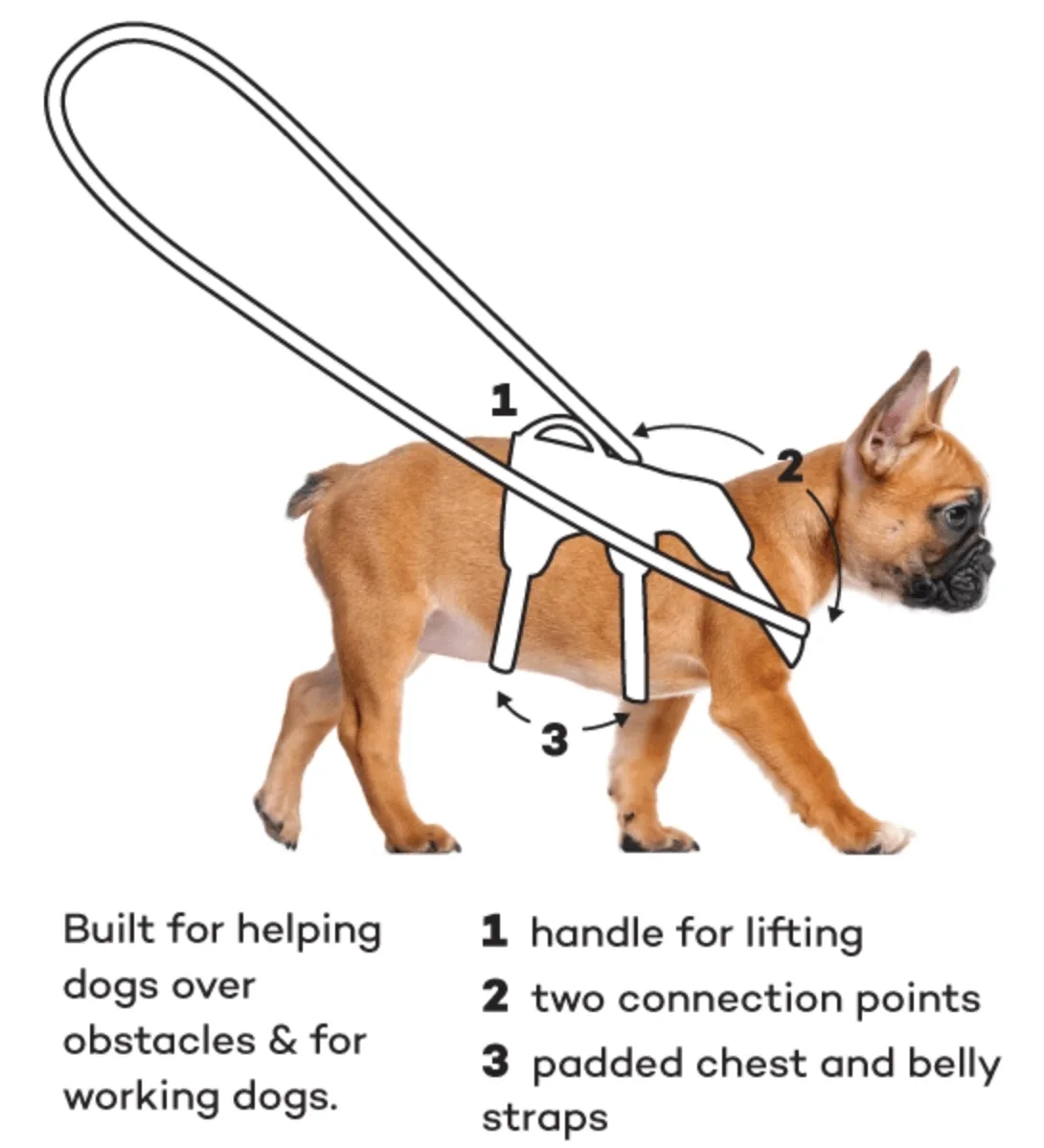 How To Put On A Dog Harness Diagram