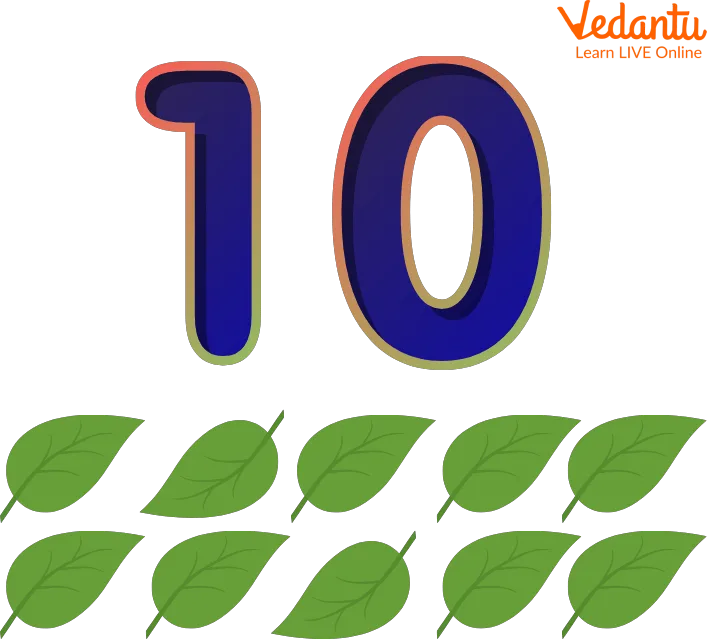 How To Write 10 Learn And Solve Questions