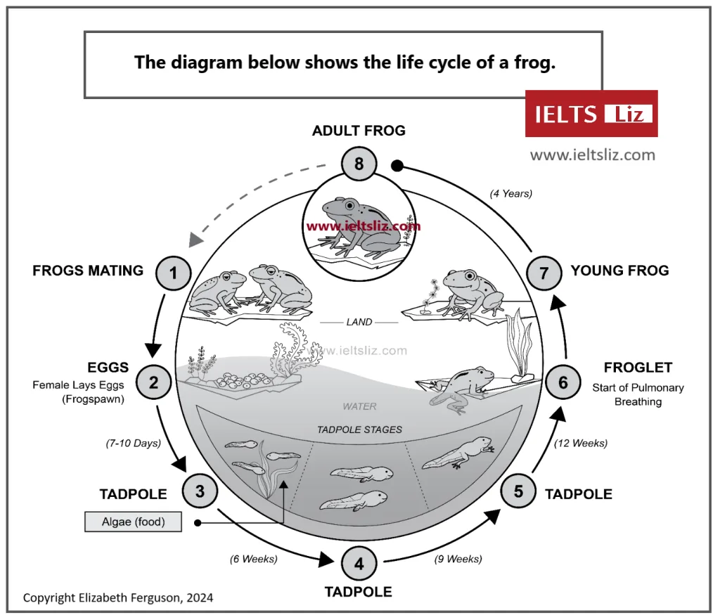 How To Write Ielts Task 1 Process Diagram